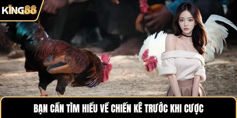 Bạn cần tìm hiểu về chiến kê trước khi cược