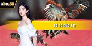 Đá Gà Cựa Sắt