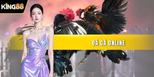 Đá Gà Online