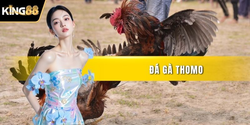 Đá Gà Thomo