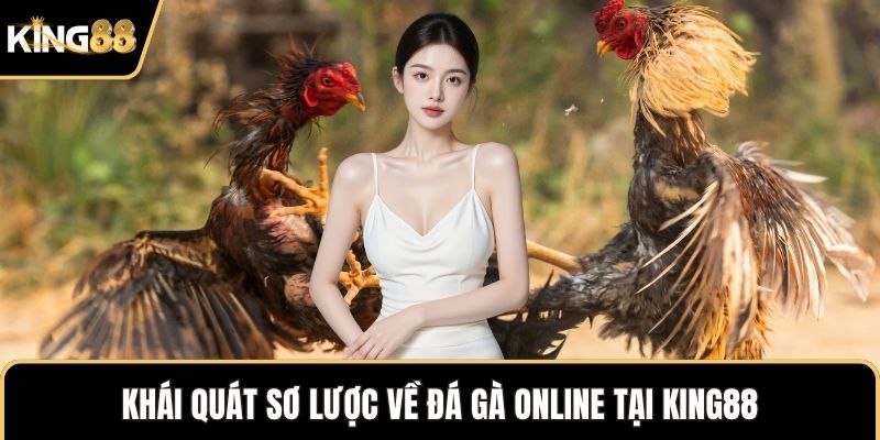 Khái quát sơ lược về đá gà online tại KING88
