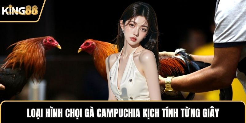 Loại hình chọi gà Campuchia kịch tính từng giây