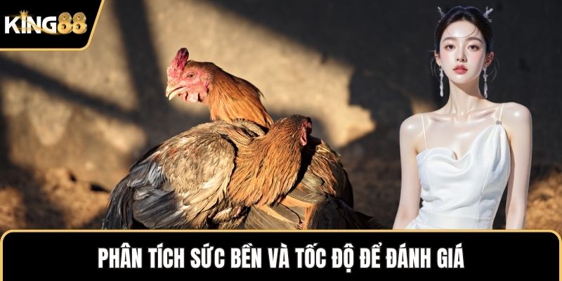 Phân tích sức bền và tốc độ để đánh giá