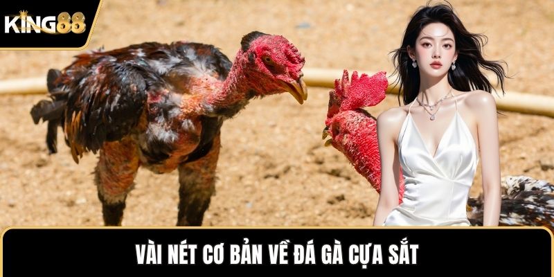 Vài nét cơ bản về đá gà cựa sắt