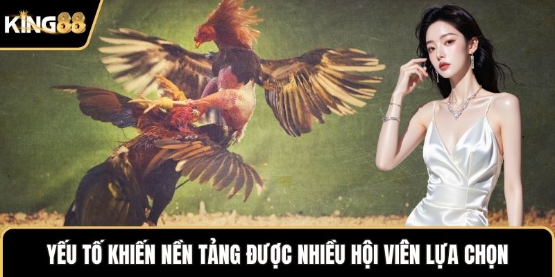 Yếu tố khiến nền tảng được nhiều hội viên lựa chọn